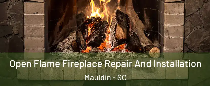  Open Flame Fireplace Repair And Installation Mauldin - SC