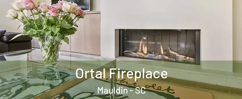 Ortal Fireplace Mauldin - SC