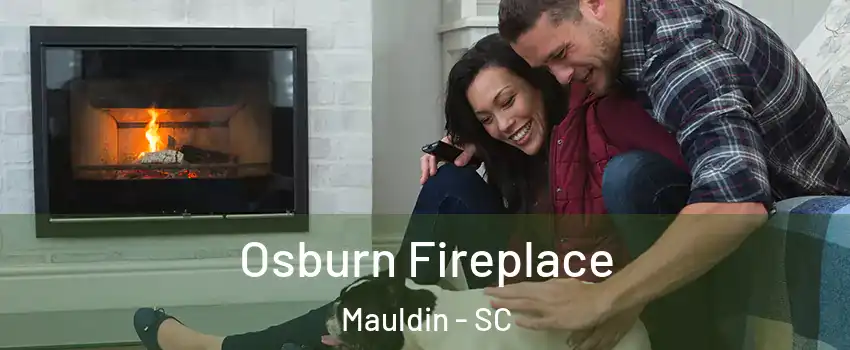 Osburn Fireplace Mauldin - SC