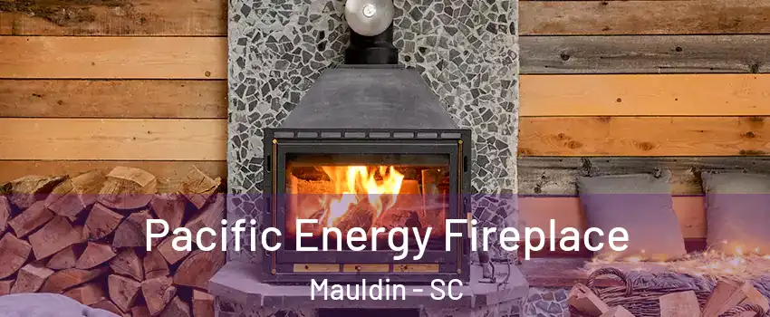  Pacific Energy Fireplace Mauldin - SC