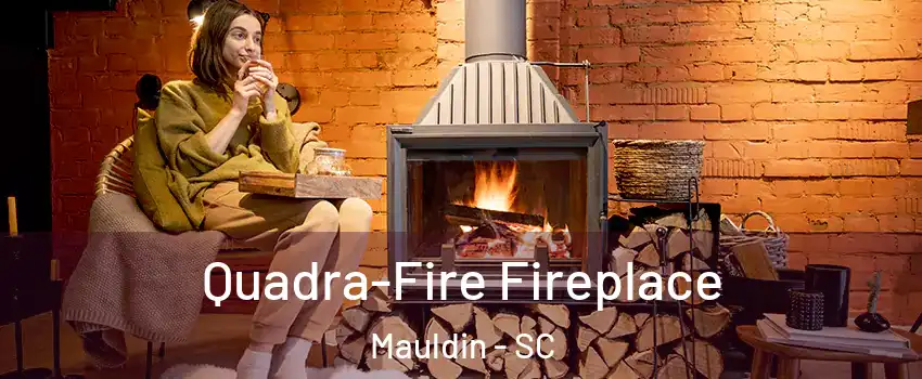  Quadra-Fire Fireplace Mauldin - SC