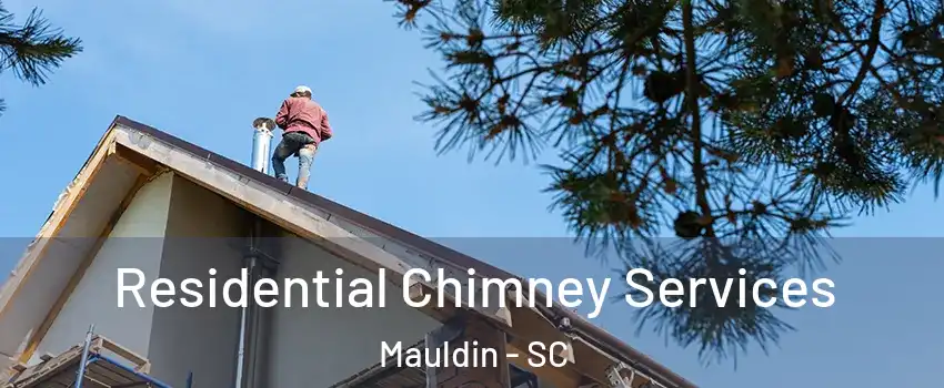  Residential Chimney Services Mauldin - SC