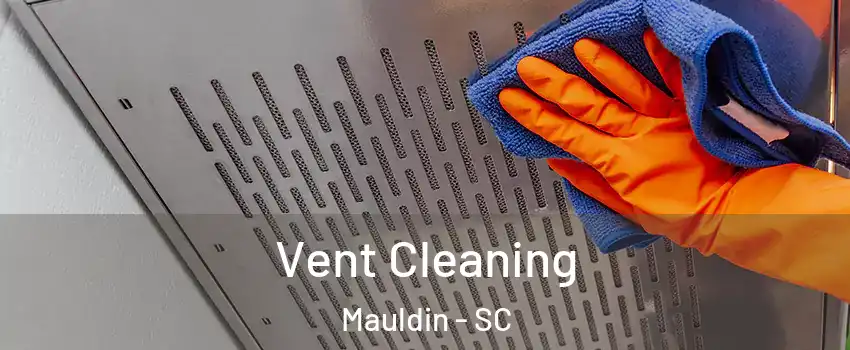  Vent Cleaning Mauldin - SC