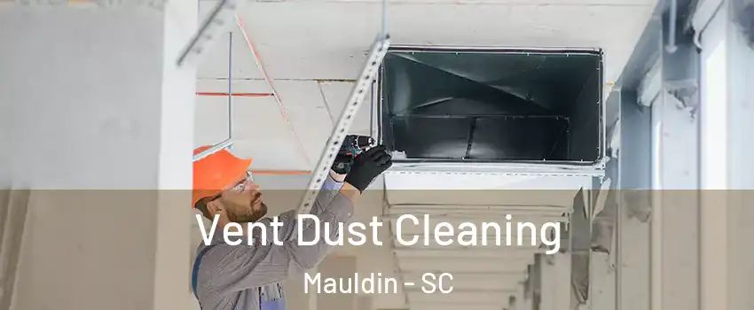  Vent Dust Cleaning Mauldin - SC